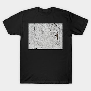 Winter Lace T-Shirt